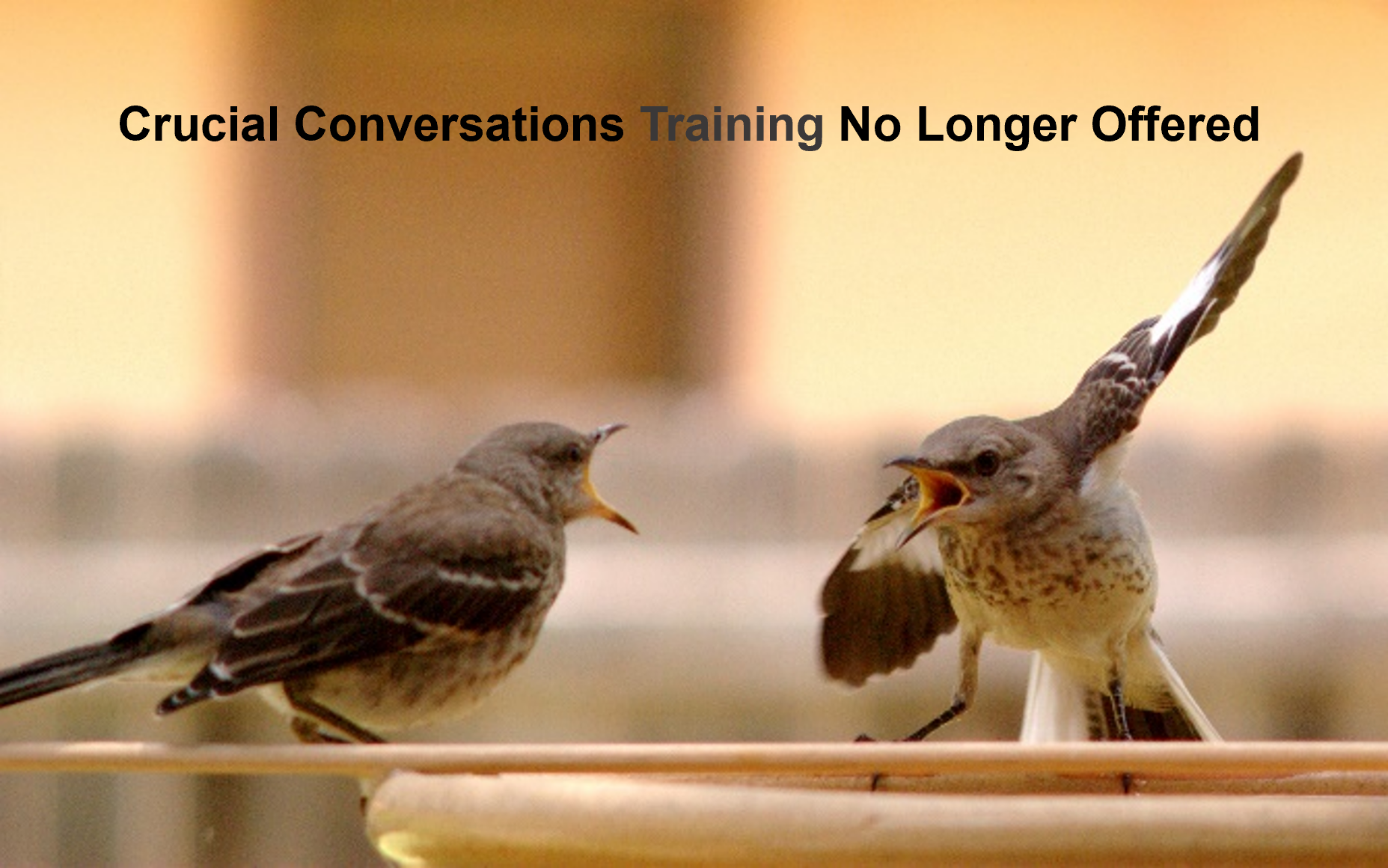 Crucial Conversations No Longer Offered